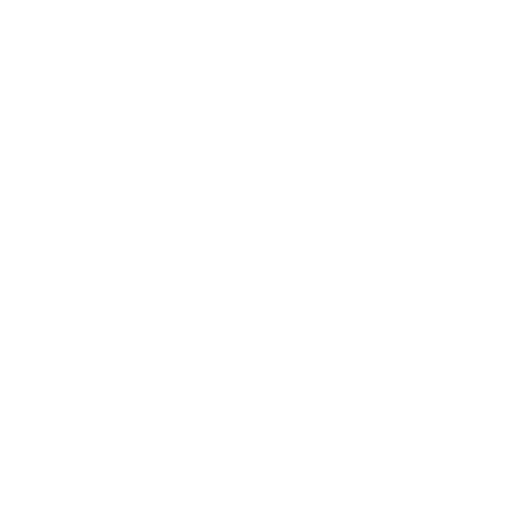 Logo Splash Taches d'encre Blanc