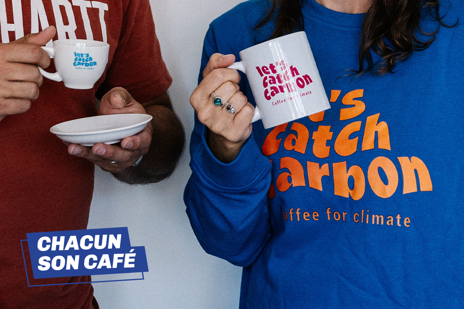 Kit Let's Catch Carbon